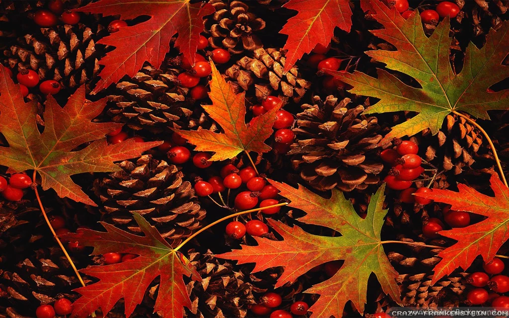 Fall Wallpapers D0
