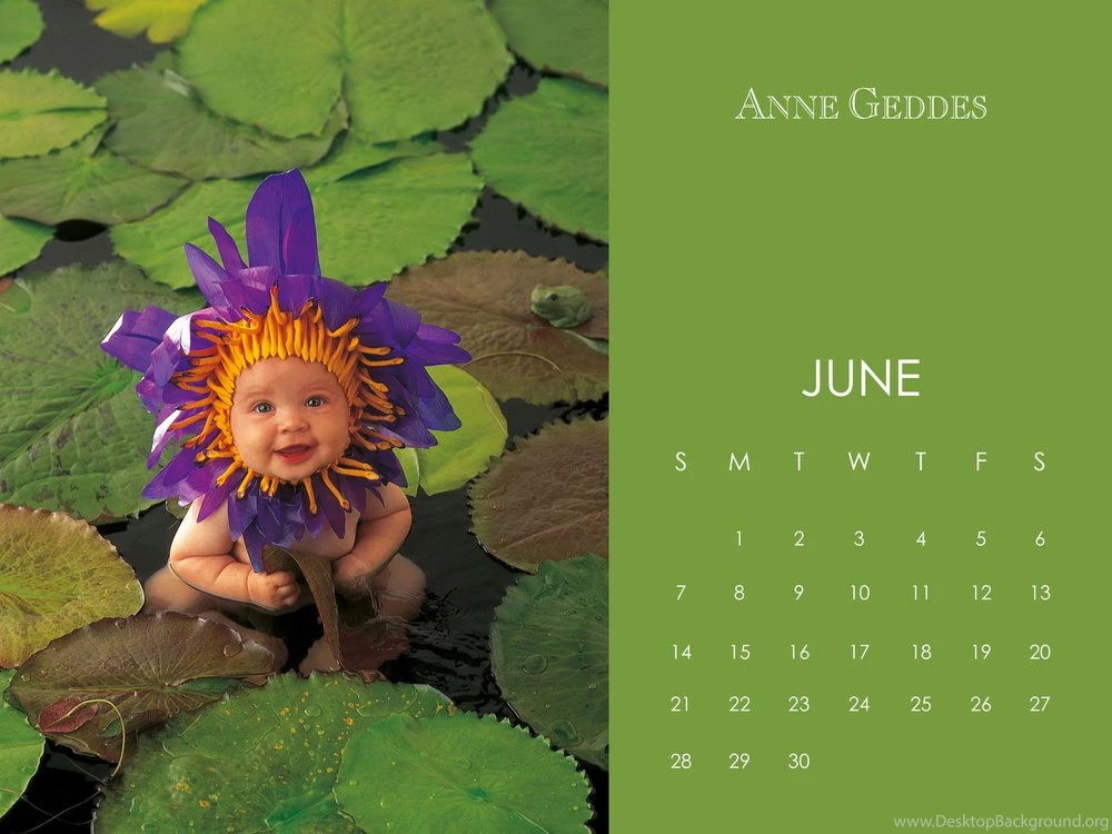 Wallpapers — Anne Geddes