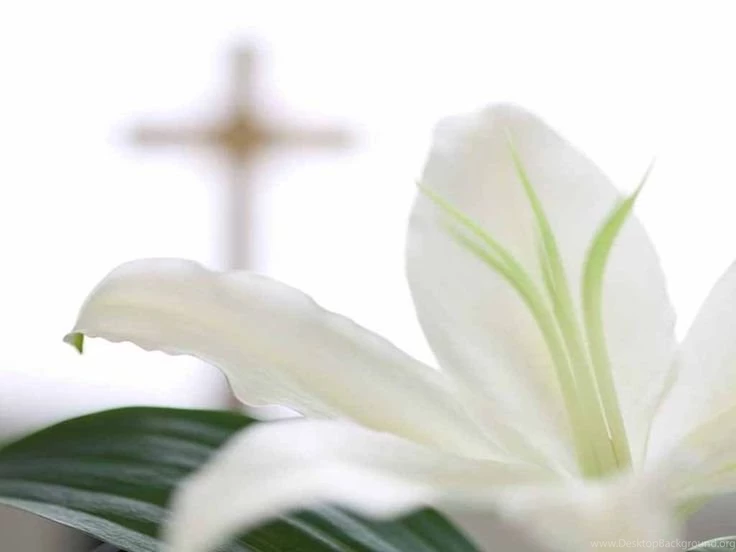 Christian Easter Backgrounds