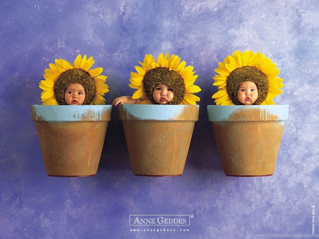 My Free Wallpapers   Artistic Wallpapers : Anne Geddes   Sunflowers