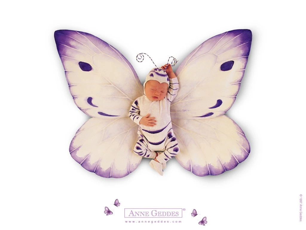 AnneGeddes Wallpapers 005