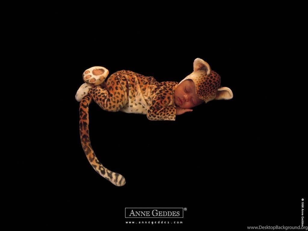 Anne Geddes Baby Wallpapers, Prints, Desktop Wallpapers By Lisa ...