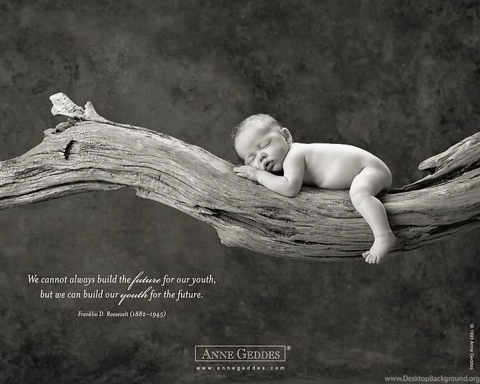 Anne Geddes Photography On Pinterest