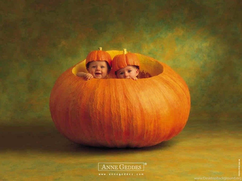 Thousands Of Ideas About Anne Geddes On Pinterest