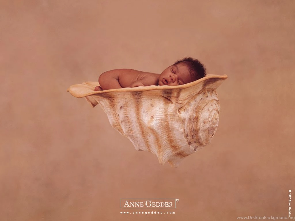 Anne Geddes Wallpapers Wallpapers 2
