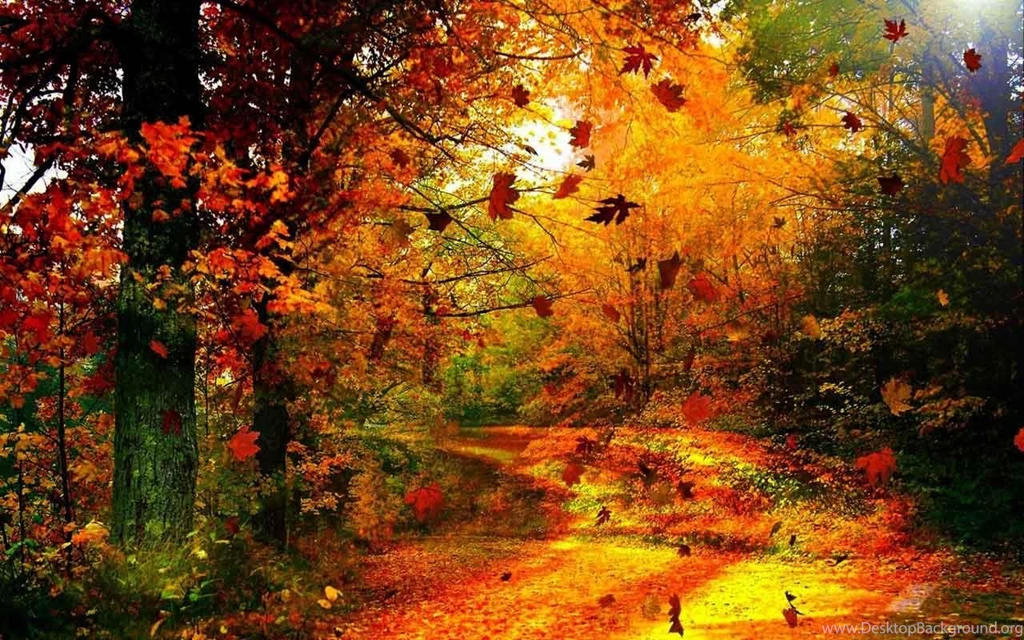 Autumn Wallpapers HD Android Apps On Google Play