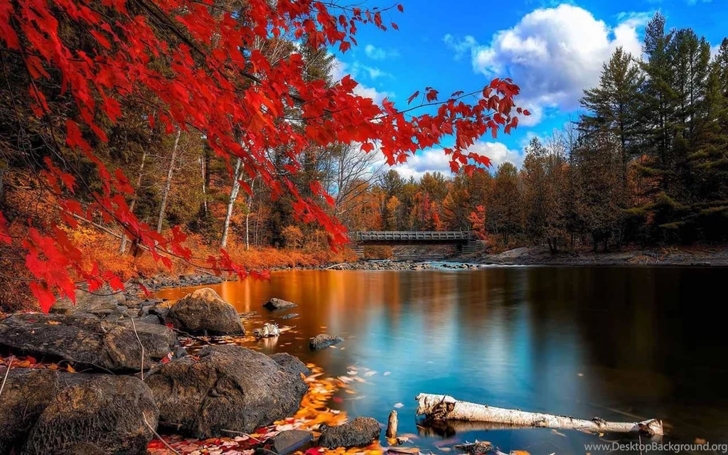 Autumn Wallpapers HD Android Apps On Google Play