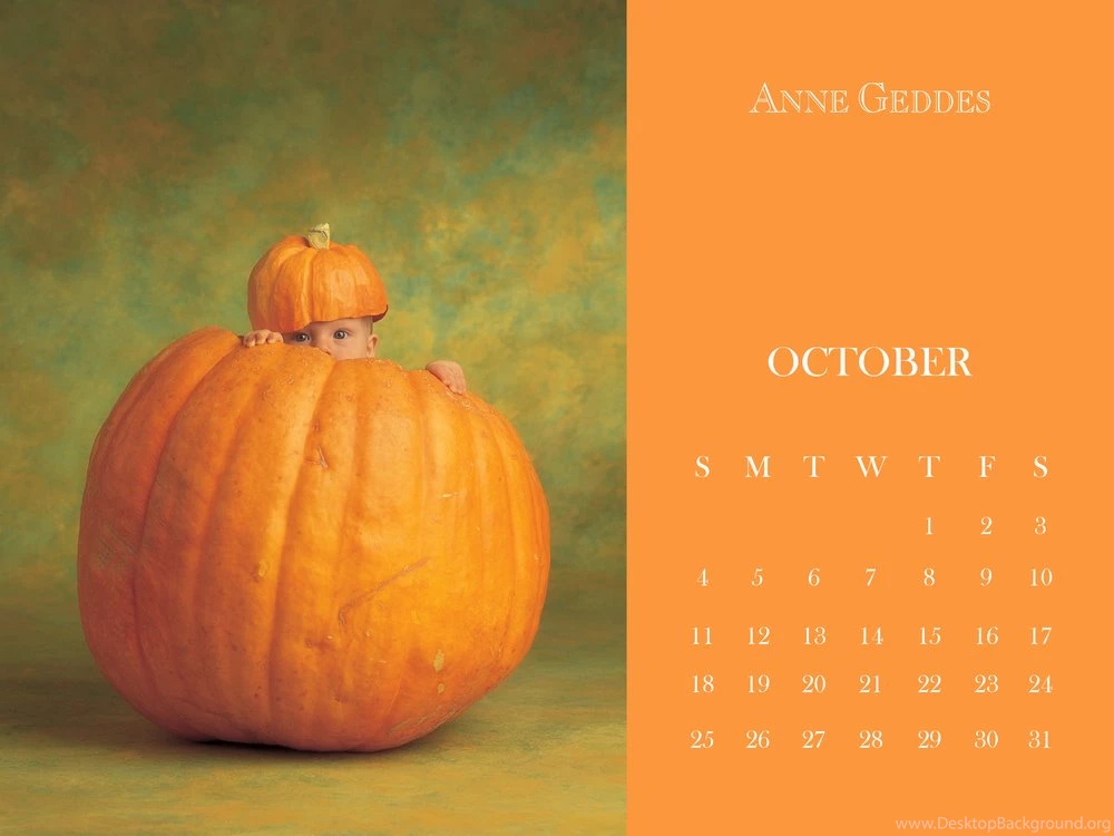 Latest News — Anne Geddes