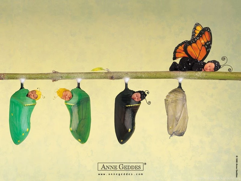 Hair Style For You: Anne Geddes Wallpapers