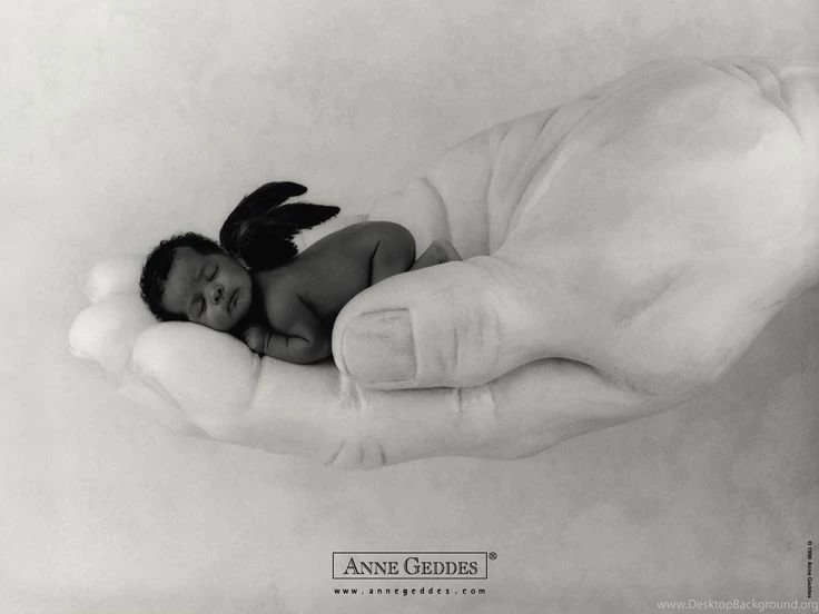 Anne Geddes Baby Pictures