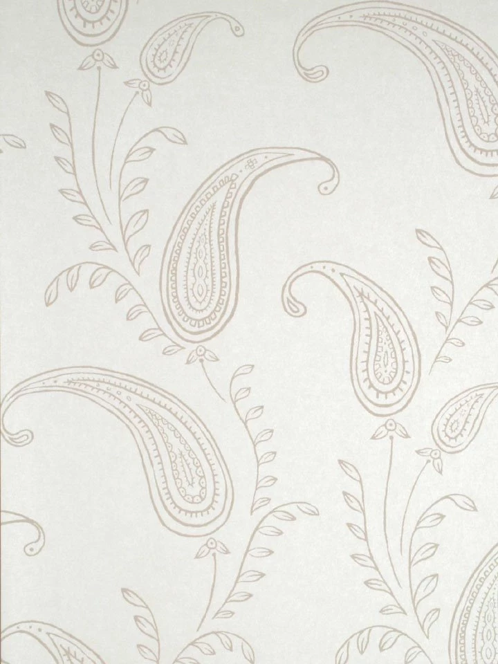 Charcoal Contemporary Paisley Wallpapers Interior Home Decor