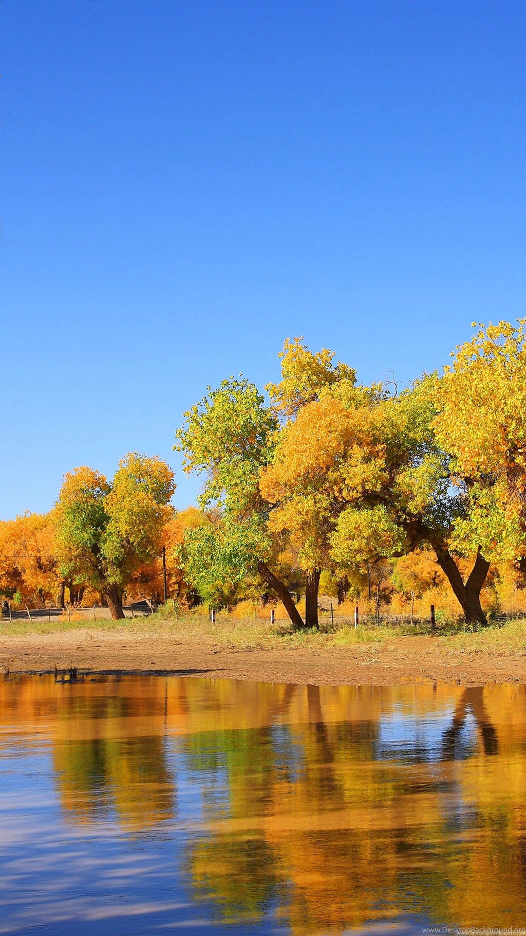 Galaxy S4 / Nature_Samsung Wallpapers