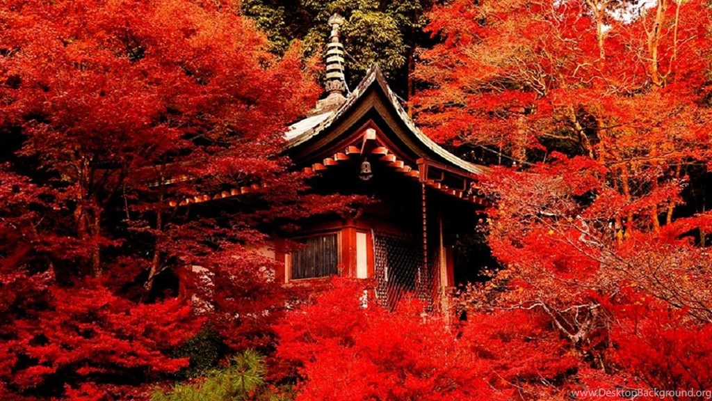 Full HD Wallpapers Kyoto Autumn Tea House, Desktop Backgrounds HD 1080p