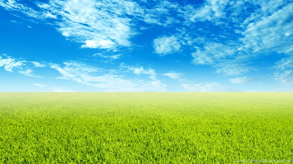 Blue Sky Grass fresh And Pleasant Countryside   1920x1080 ...