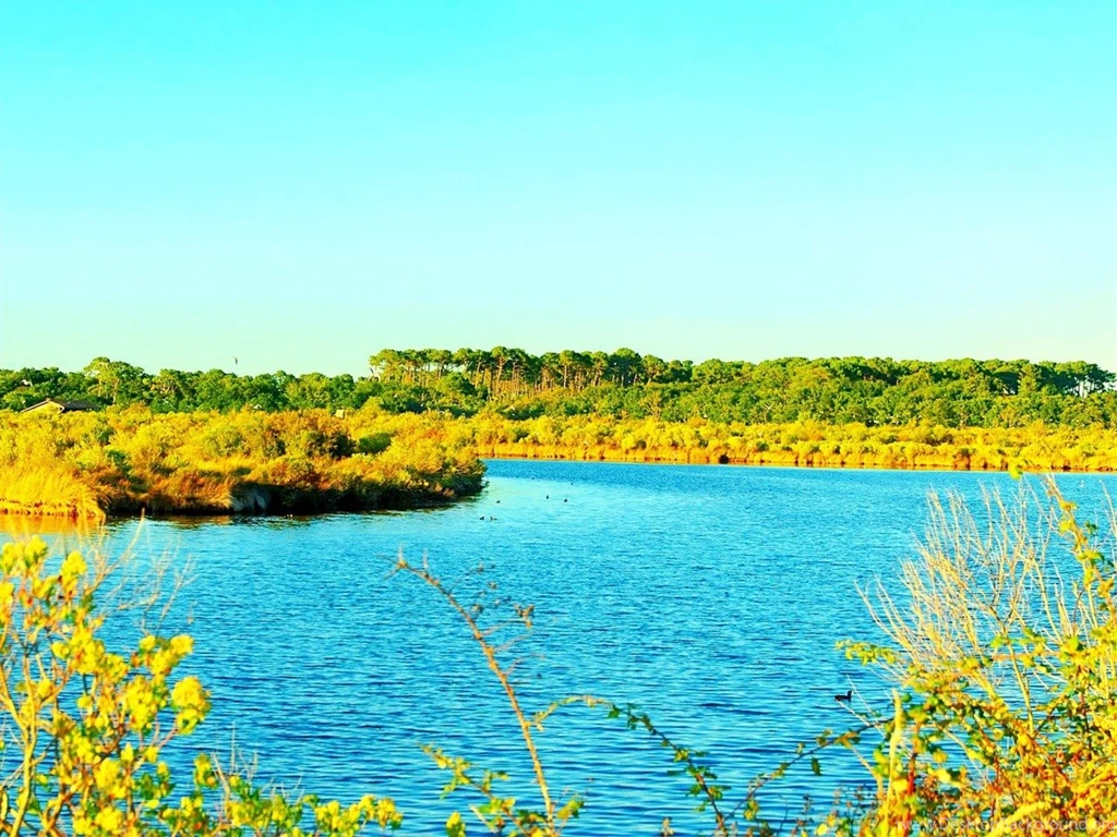 Europe France Gironde Arcachon Bay Nature Wallpapers   1280x960 ...
