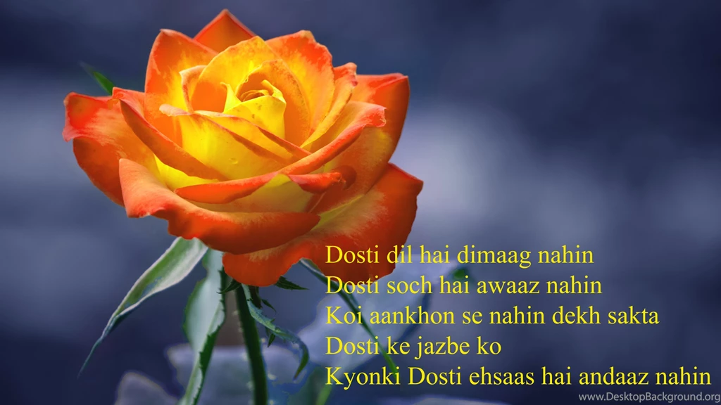 Friendship Beautiful Rose With Sweet Friendship Message Latest ...