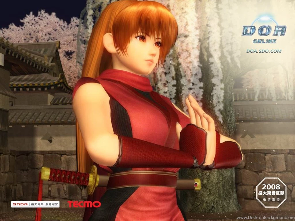 Dead Or Alive Online/Promotional Artwork And Wallpapers   Dead Or ...