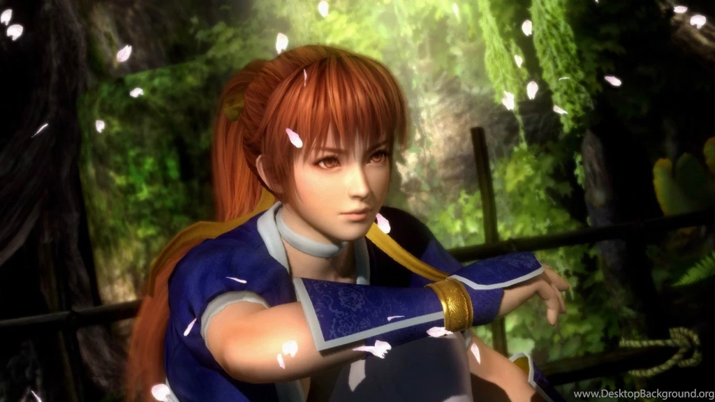 R.I.P Team Ninja & DOA5 (Implying That This Is Even A DOA Game ...