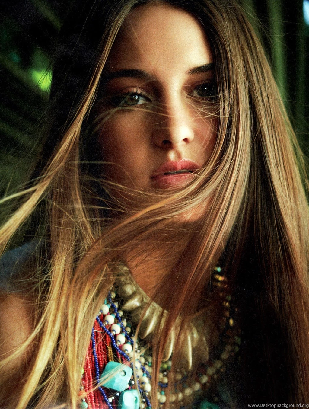 Shailene Woodley Wallpaper.
