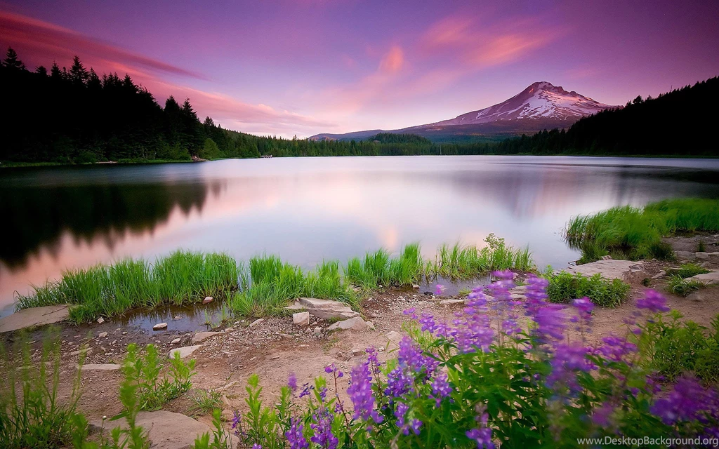 Super Nature Wallpapers
