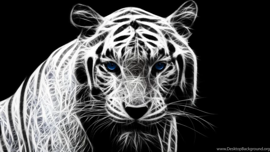 White Tiger With Blue Eyes Wallpapers (