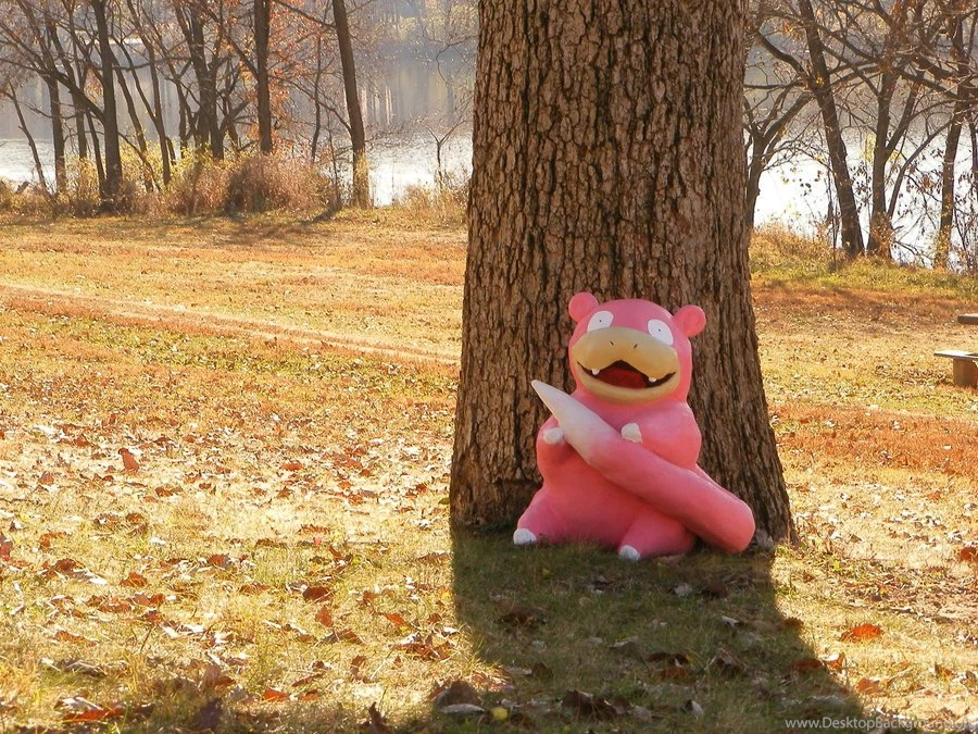 Slowpoke   DeviantArt