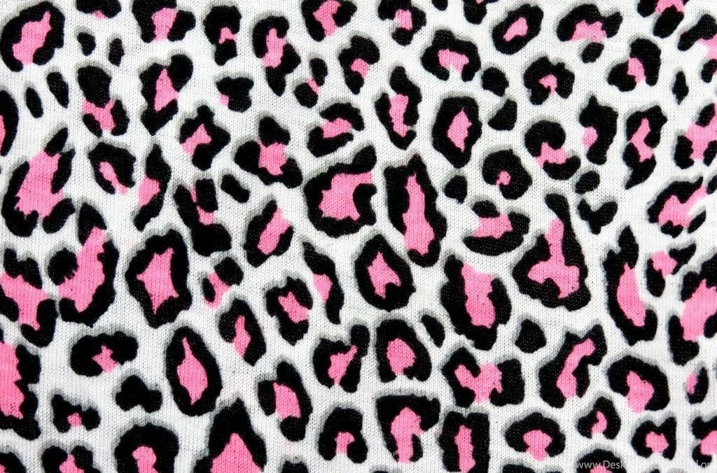 Interesting Animal Print Wallpapers On Wall Bedroom Ideas ...