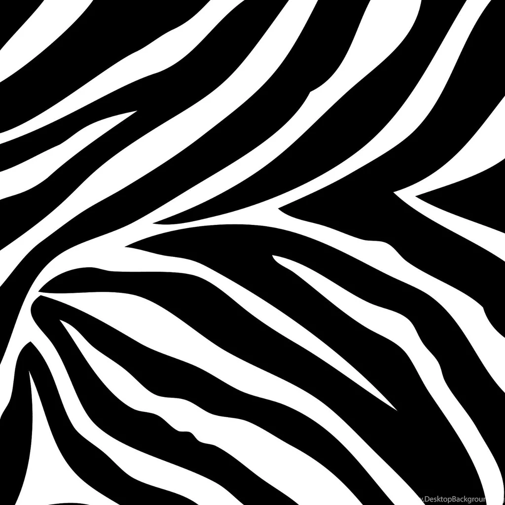 Zebra Print Wallpapers
