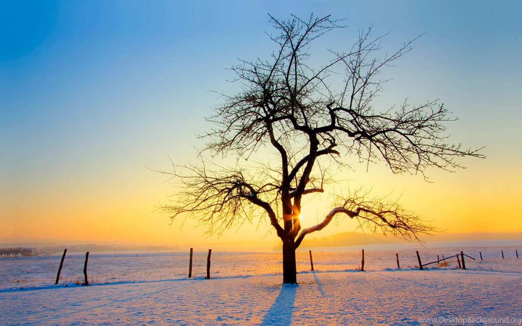 Wallpapers Nature Winter Wallpapers Cave