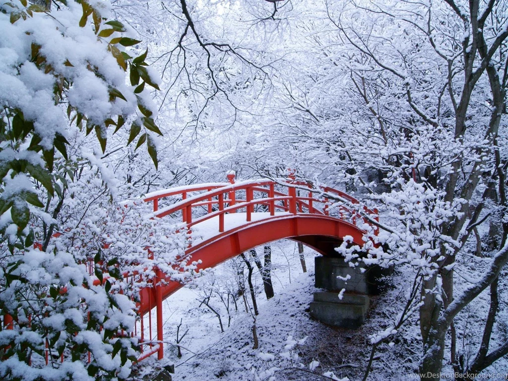 Winter Nature Wallpapers High Resolution