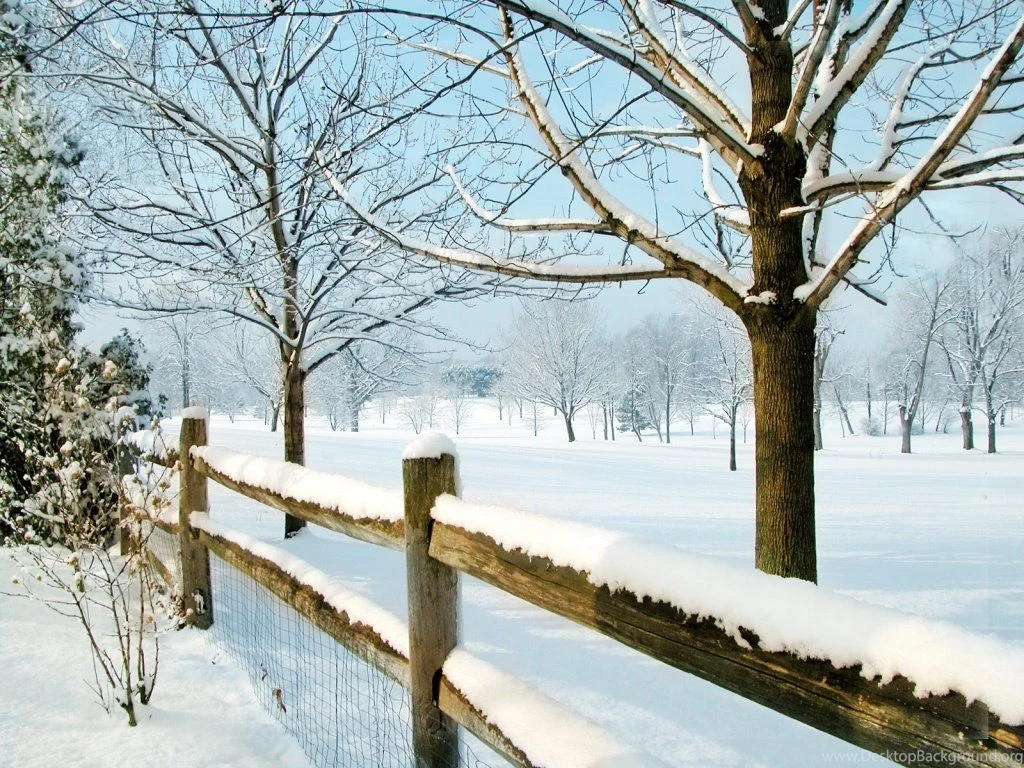 Nature Landscape Winter Wallpapers