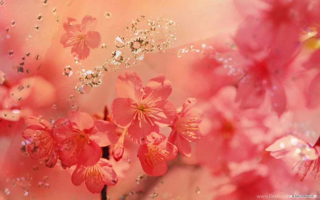 Flowers Backgrounds