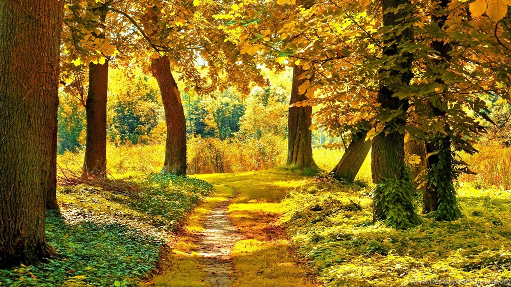 Autumn Landscape Backgrounds Backgrounds By Kyle Rooney On FeelGrafix