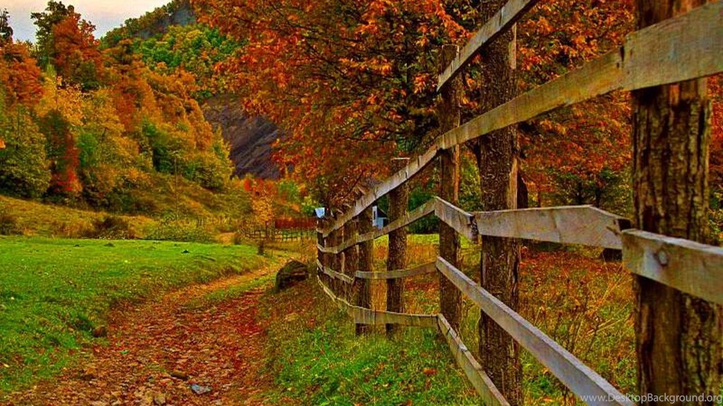 RURAL AUTUMN LANDSCAPE WALLPAPER (