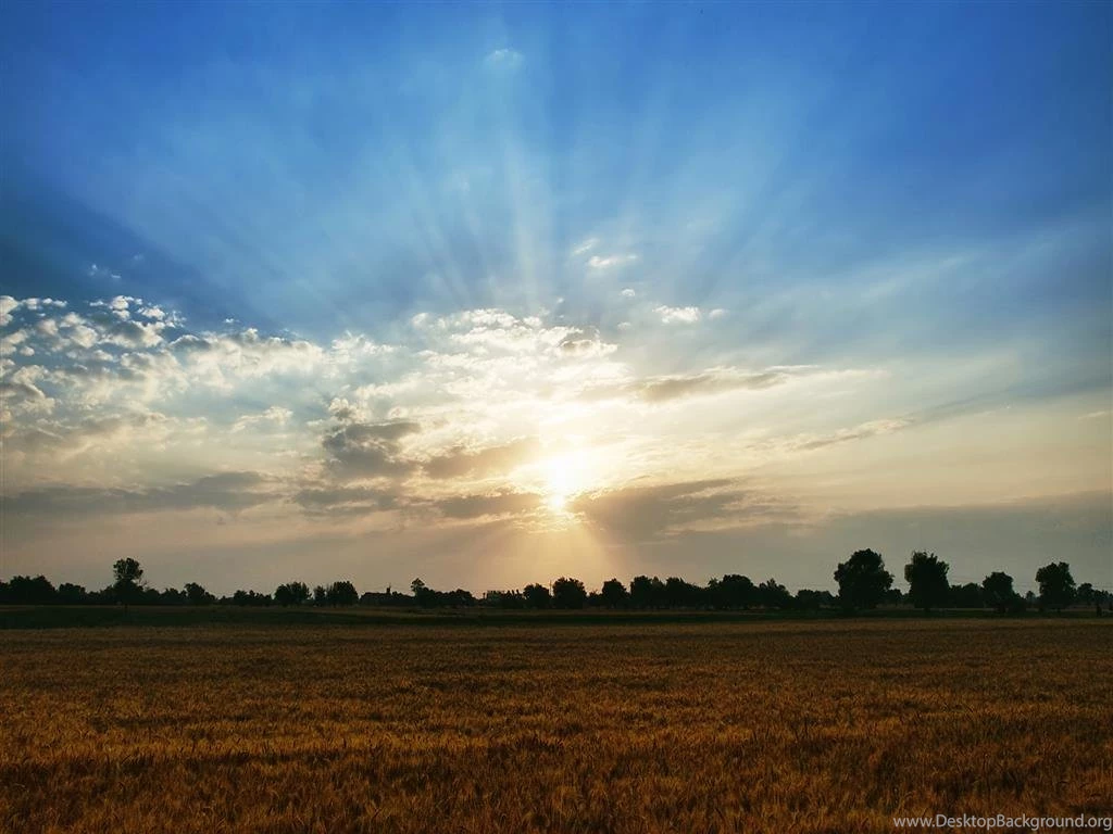 Nice Backgrounds Of Nature