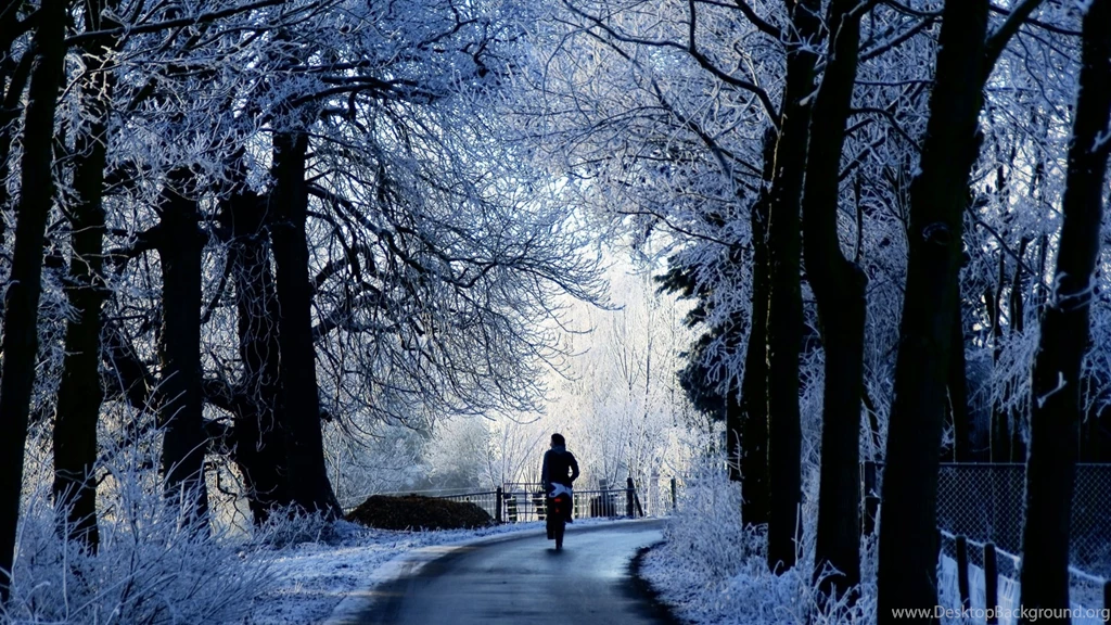 Winter Wallpapers Hd Widescreen