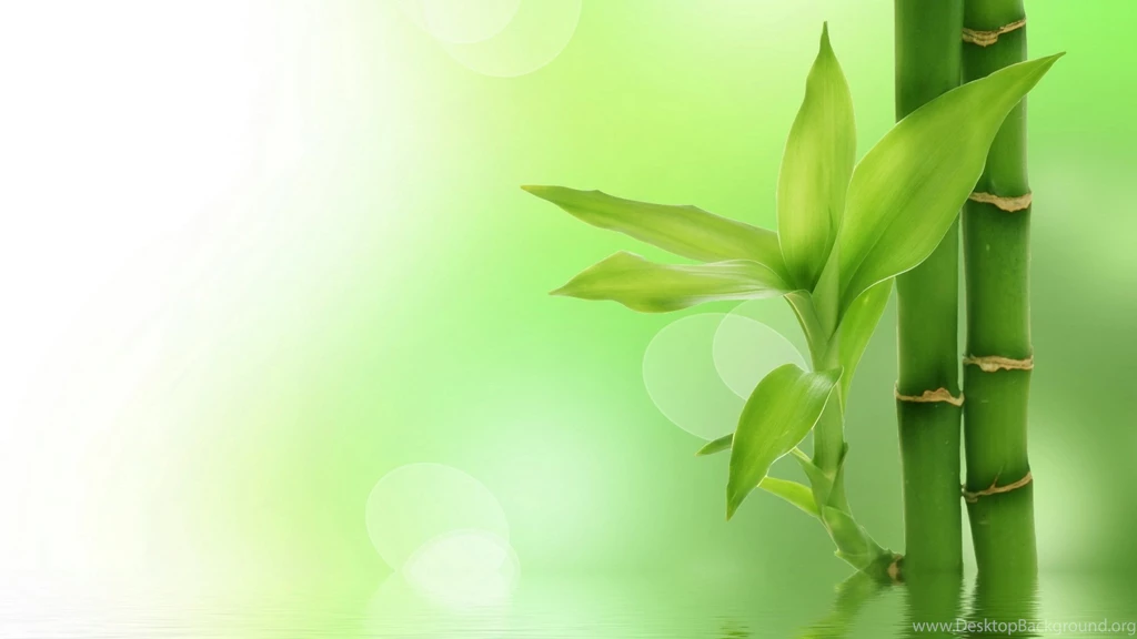High Resolution Bamboo Desktop Wallpapers HD Full Size ...