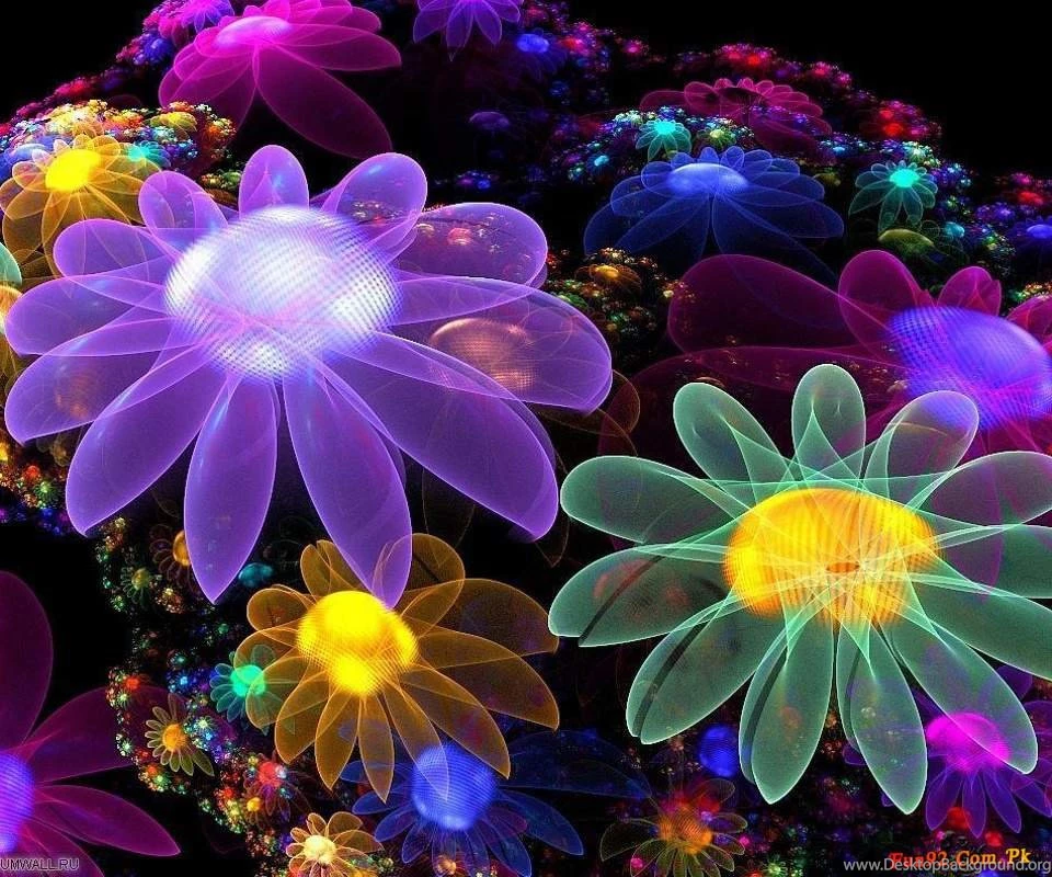 Android Mobile Phone Wallpapers