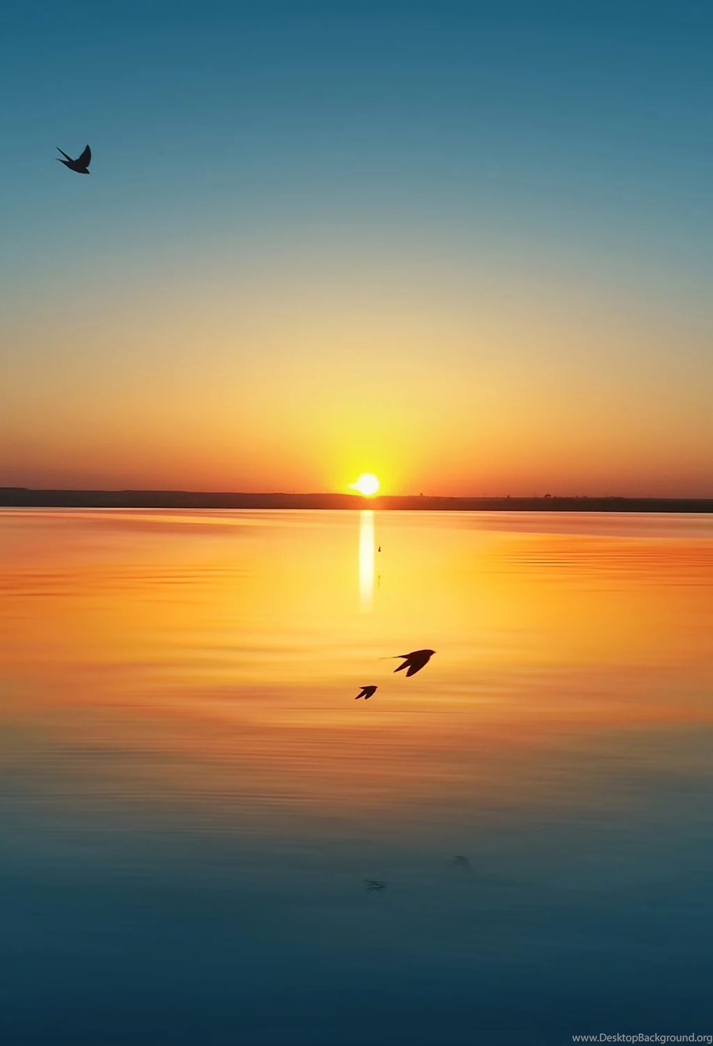 20 Parallax IOS 7 Wallpapers For iPhone Ready To Download