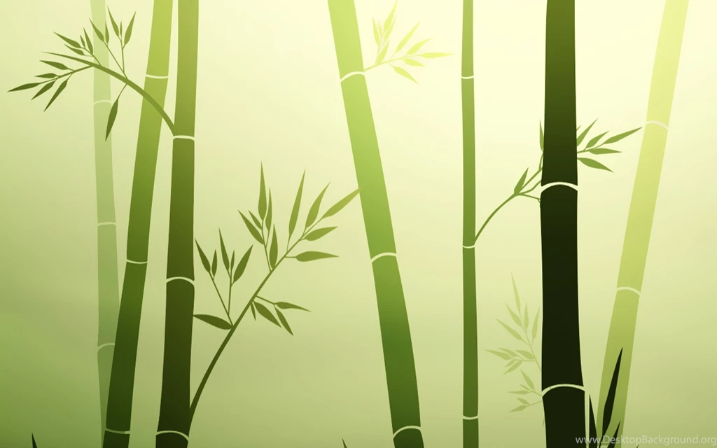 Bamboo Wallpapers – AB Wallpapers