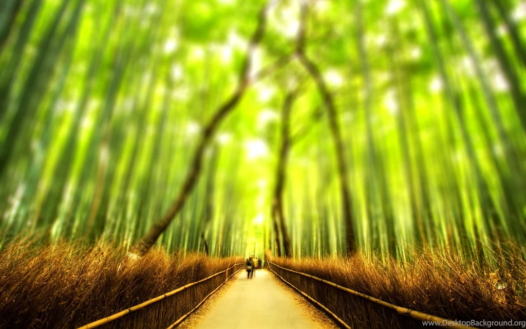 Yellow Bamboo Wallpapers 1080p Ndemok.com