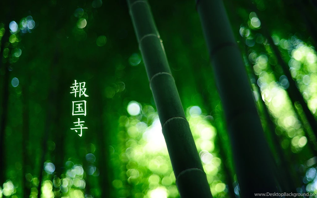 Download The Bamboo Green Wallpaper, Bamboo Green iPhone Wallpapers ...