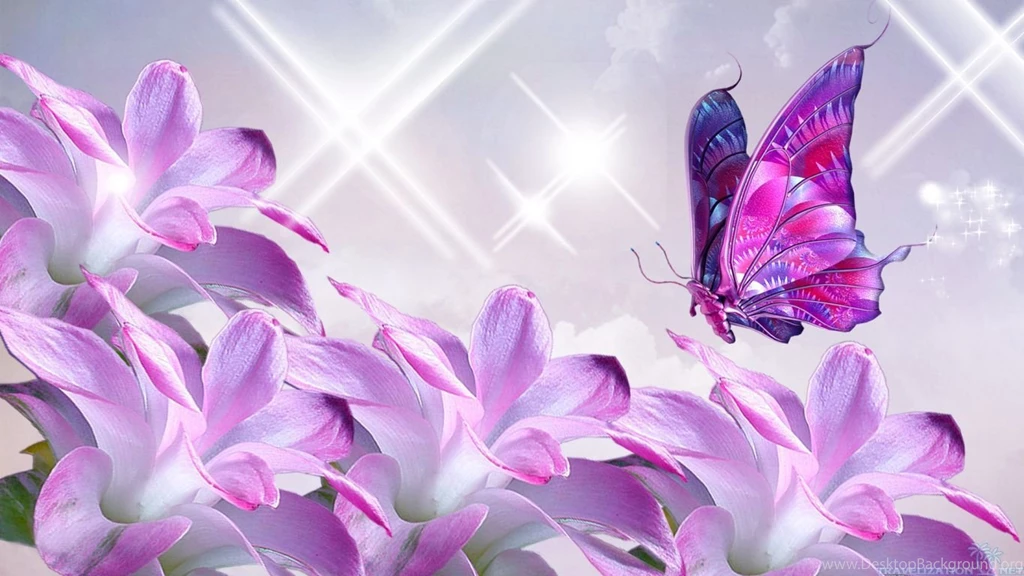 Beautiful Flowers Desktop Wallpapers HD Wallpapers Desktop ...