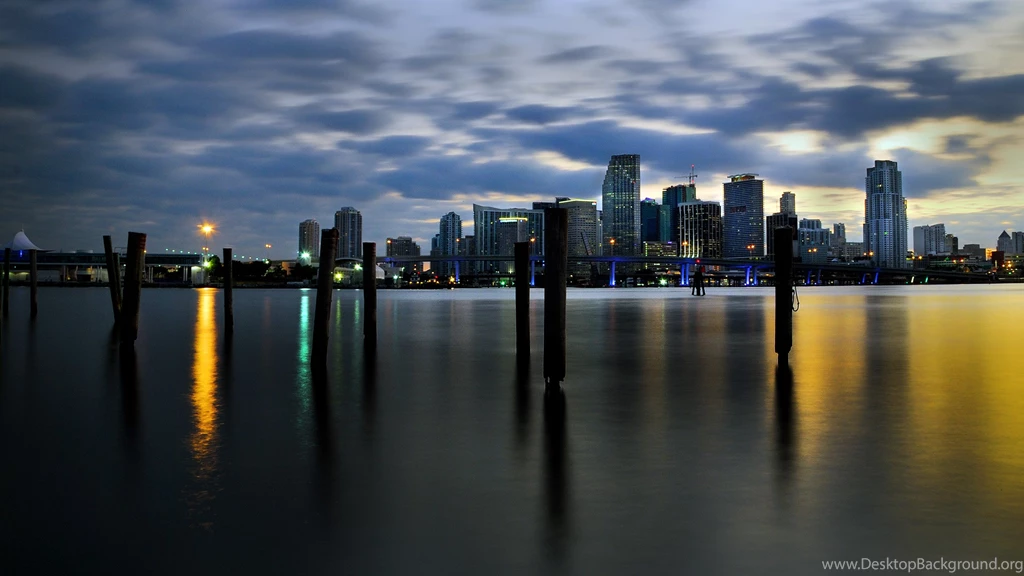 Miami City View 2560x1440 Wallpapers