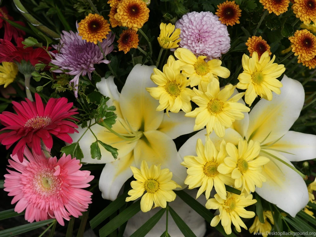 The Most Beautiful Flower Photo Amazing Photos Amazing Photo ...