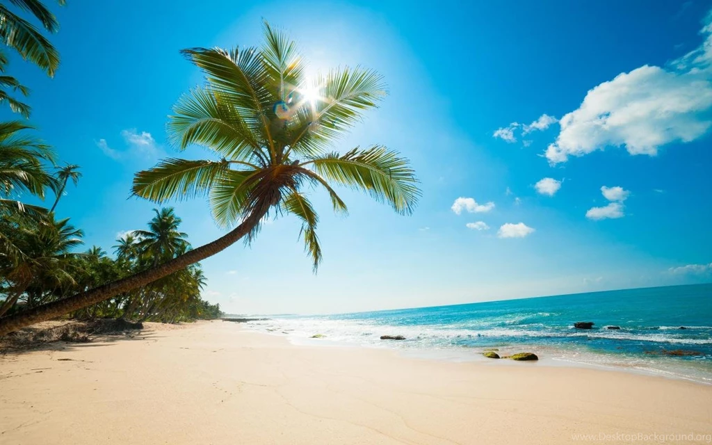 Romantic Beach Hd Wallpapers 1280x800 Widescreen Hd Wallpaper