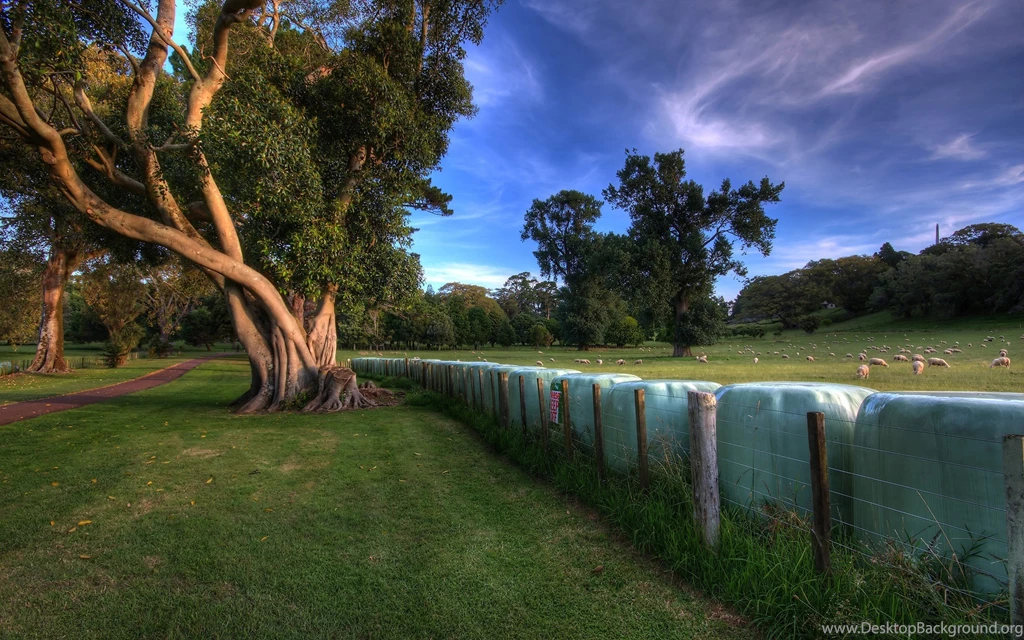100 HD Nature Wallpapers HQPixsBlog Photo 40 Of 100