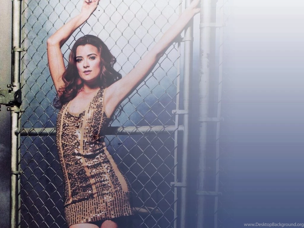 Cote De Pablo Wallpapers Wallpaper.
