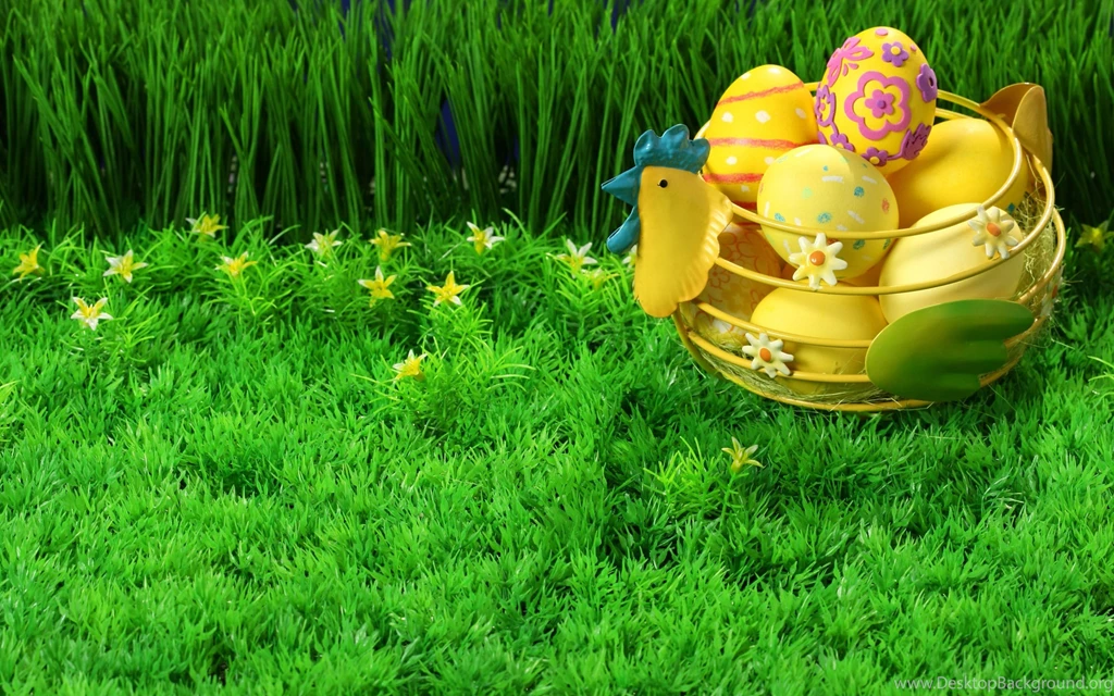 Download The Spring Chicks And Eggs Wallpaper, Spring Chicks And ...