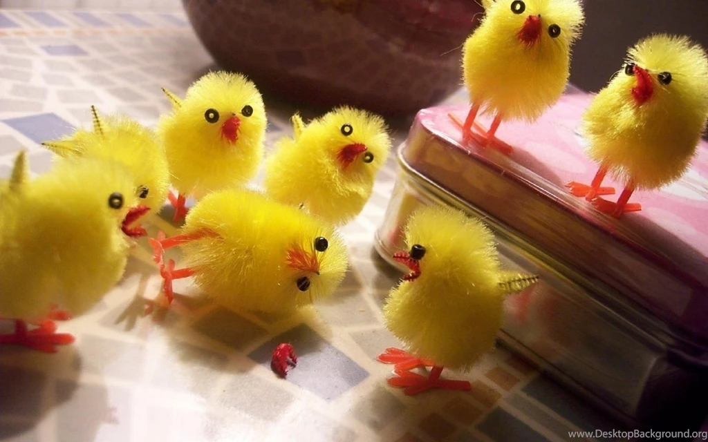 1 A Chicks Birds Cute Toys Chickens Easter Humor Wallpapers ...